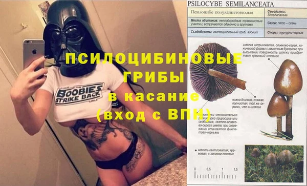 ГАЛЛЮЦИНОГЕННЫЕ ГРИБЫ Алзамай