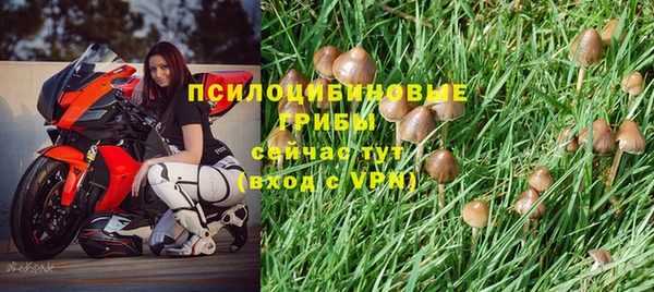 ешки Алексеевка