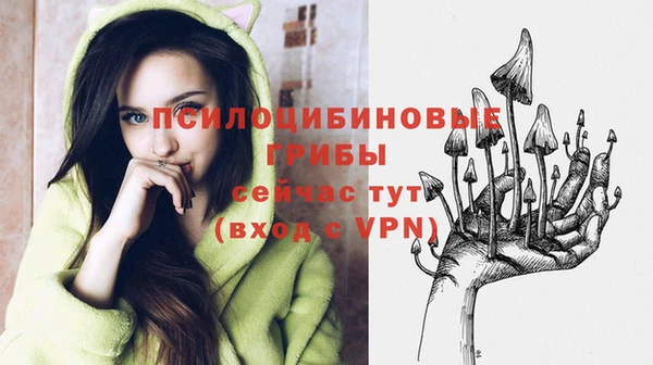 ГАЛЛЮЦИНОГЕННЫЕ ГРИБЫ Алзамай