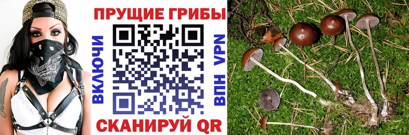 магазин продажи наркотиков  Усолье-Сибирское  Псилоцибиновые грибы GOLDEN TEACHER 